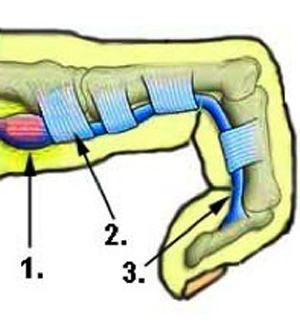 Schnellender Finger